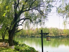 -西安汉城湖景区