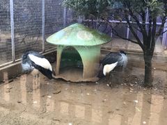 -无锡动物园·太湖欢乐园
