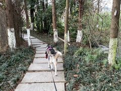 -桤木河湿地公园