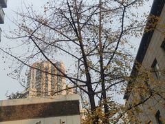 -廖老妈蹄花店(人民公园陕西街259号店)