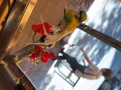 -花鸟鱼私家小厨·川菜(文殊院店)