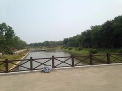 -上海海湾国家森林公园