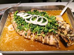 -鱼酷活鱼烤鱼(沈阳大悦城店)