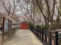 -桃花堤公园