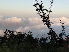 -萍乡武功山风景名胜区