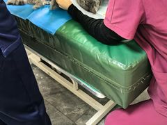 -美联众合爱康动物医院•复杂内科•肿瘤科•牙科•腔镜诊疗中心