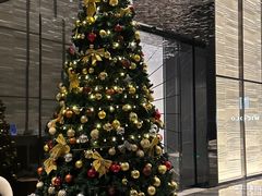 -长沙尼依格罗酒店