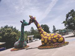 -西安秦岭野生动物园