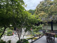 -范蠡湖公园
