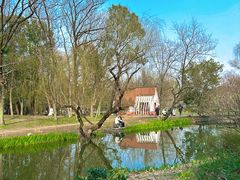 -上海共青森林公园