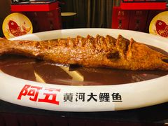 -阿五黄河大鲤鱼(纬三路店)