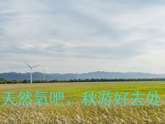 -野鸭湖国家湿地公园