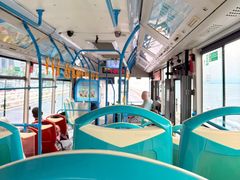 -演武大桥观景平台