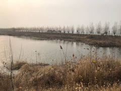 -呼兰河口湿地公园