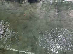 -光头佬钓虾场·烧烤·聚餐·亲子(金沙洲店)