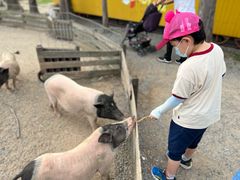 -前小桔亲子创意农场·草莓采摘·露营烧烤