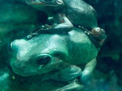 -迪拜水族馆及水下动物园