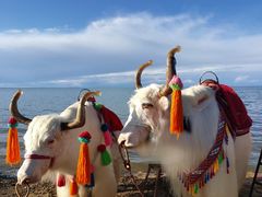 -青海湖国家重点风景名胜区
