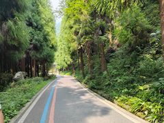 -太阳湾风景区