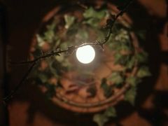 -胡桃里音乐餐厅(陶溪川店)(川湘赣菜·世界百大酒庄直供红酒·音乐表演)