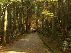 -比叡山