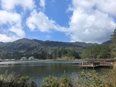 -海南热带雨林国家公园吊罗山景区