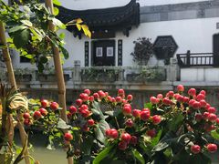 -八珍手工水饺·妈妈的爱(传芳巷店)