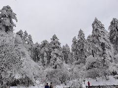 -瓦屋山景区