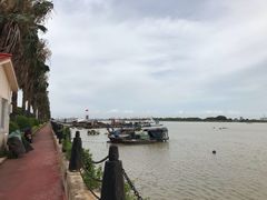 -大湾区中央湿地公园-十九涌