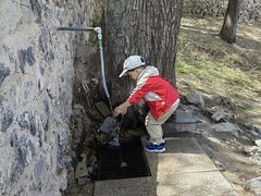 -阳台山自然风景区