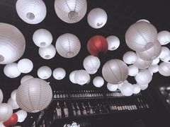 -旺小胖小龙虾