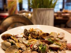 -地中海传奇水汇