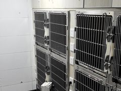 -半岛宠物医院24小时(科华中路店)