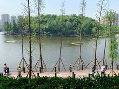 -重庆彩云湖湿地公园