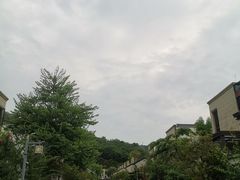-品泉餐厅·大盆鱼·走地鸡