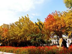 -辽宁大学(崇山校区)