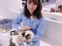 -怪兽屋·羊驼·猫咖·狗咖(俊华广场店)