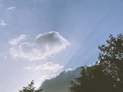 -渤公岛生态公园
