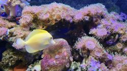 -Zoolung Zoolung动物主题公园(海信广场店)