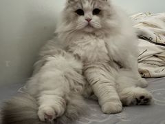 -联合动物医院(光谷诊疗中心)