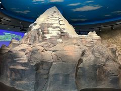 -青海藏文化博物院