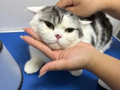 -博特宠物医院24h犬猫全科.骨科·异宠