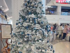 -世纪星滑冰俱乐部(万象城店)