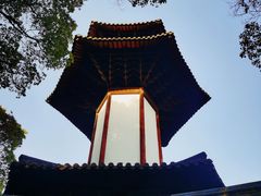 -上海佘山国家森林公园天马山园