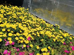 -霍尔果斯国门景区