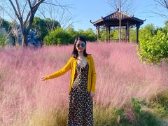 -南通洲际绿博园