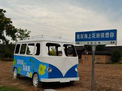 -杭州湾海上花田景区