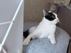 -联合动物医院(光谷诊疗中心)