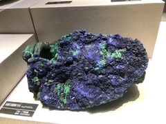 -河南自然博物馆