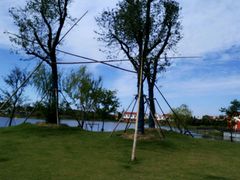 -上海长兴岛郊野公园